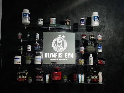 Olympus gym - Emiliano Zapata 6, Centro, 59980 Tingüindín, Mich., Mexico