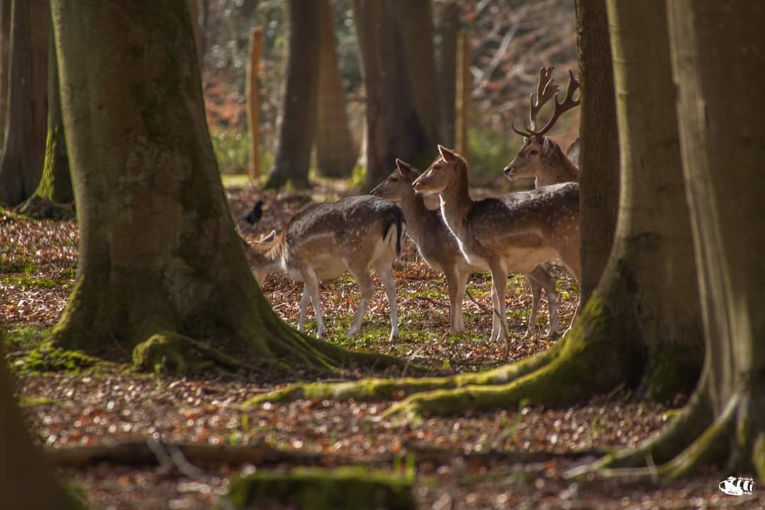 Photo n° 1 de l'avis de Catherine.e fait le 28/03/2019 à 11:56