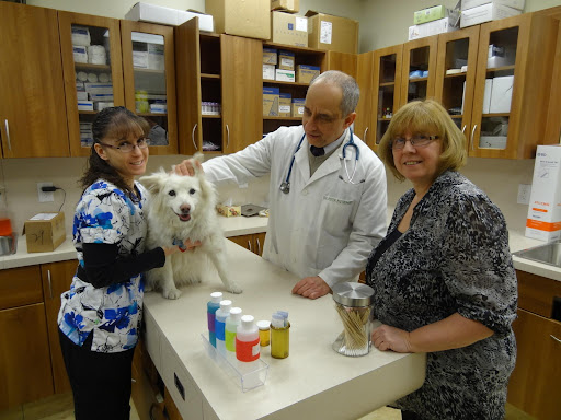 Tower Hill-Bathurst Animal Hospital image