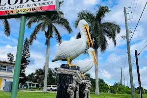 Pelican Lodge image