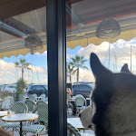 Photo n° 1 de l'avis de Eva.e fait le 05/12/2023 à 14:28 pour Tartine à Saint-Laurent-du-Var