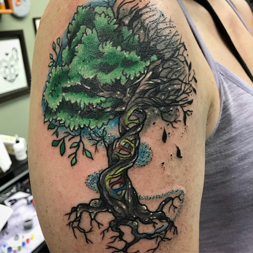 Tattoo Shop «Fox Tattoo Parlor & Gallery», reviews and photos, 3045-B SE 3rd Ave, Ocala, FL 34471, USA