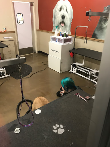 Pet Supply Store «Pet Supplies Plus», reviews and photos, 860 Sunbury Rd, Delaware, OH 43015, USA