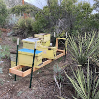 J R Bees - Photo 7 - Car repair in , San Diego