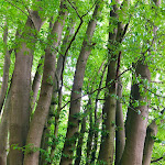 Photo n°6 de l'avis de Elsa.h fait le 31/07/2022 à 14:46 sur le  Barfußpark Lüneburger Heide in Egestorf à Egestorf