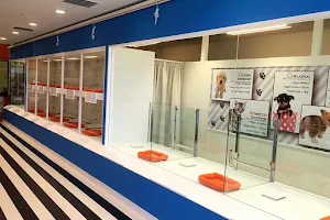 One Love aeon Town Yamanashichuo Pet Shop image