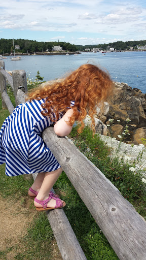 Aquarium «Maine State Aquarium», reviews and photos, 194 McKown Point Rd, West Boothbay Harbor, ME 04575, USA