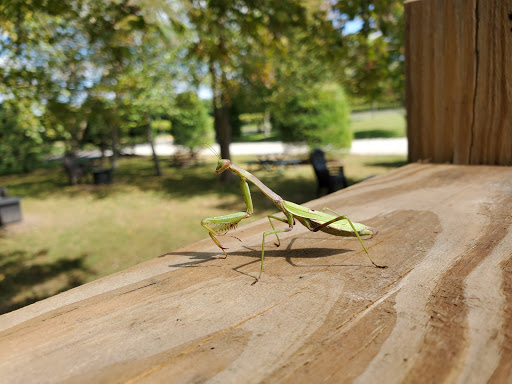 Winery «White Horse Winery», reviews and photos, 106 Hall St, Hammonton, NJ 08037, USA