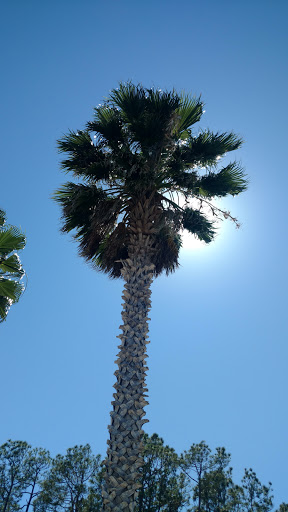 Auto Auction «Manheim Daytona Beach», reviews and photos, 1305 Indian Lake Rd, Daytona Beach, FL 32124, USA