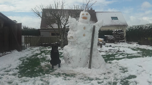 attractions Place Marcel Picard Surtauville