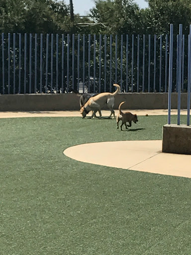 Dog Park «Newport beach dog park», reviews and photos, Avocado Ave & San Miguel Dr, Corona Del Mar, CA 92625, USA