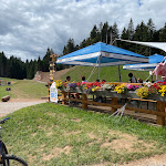 Photo n°6 de l'avis de Massimo.r fait le 24/08/2021 à 18:52 sur le  Chalet Forst à Andalo