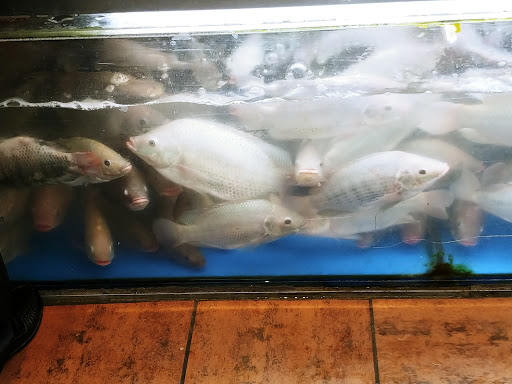 Chinese Supermarket «New York Mart», reviews and photos, 15108 Frederick Rd, Rockville, MD 20850, USA