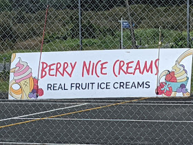 Berry Nice Creams