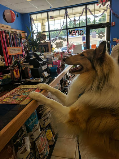Pet Supply Store «Dawg City Inc.», reviews and photos, 38 Pearson St, Andover, MA 01810, USA