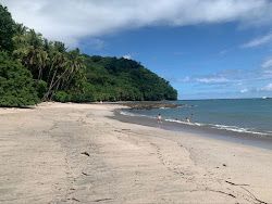 Photo de Los Vivos avec rivage droit, long