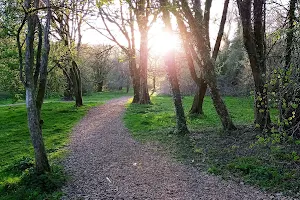 Clyne Valley Country Park image