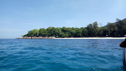 Photo de Bidong Bay avec un rivage spacieux