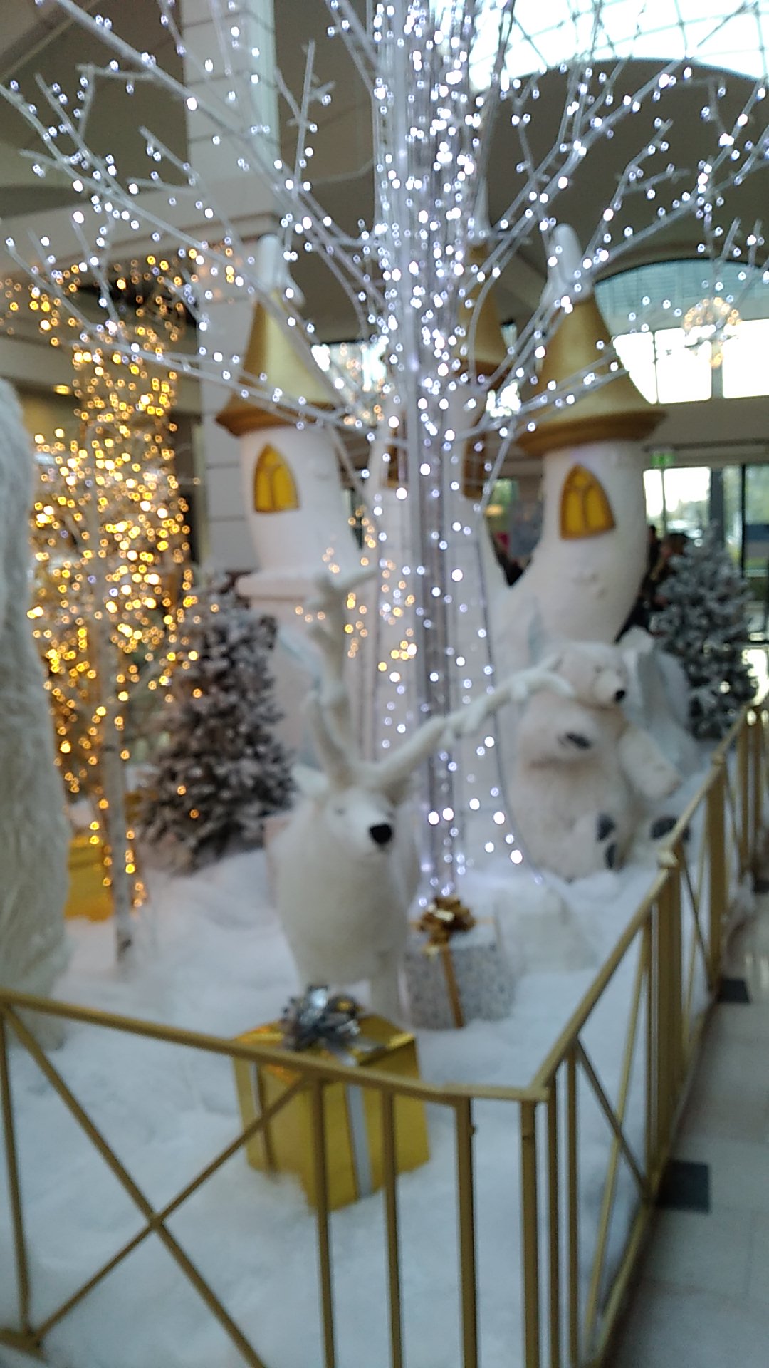 Photo n° 1 de l'avis de ludokatia.a fait le 01/10/2019 à 19:04