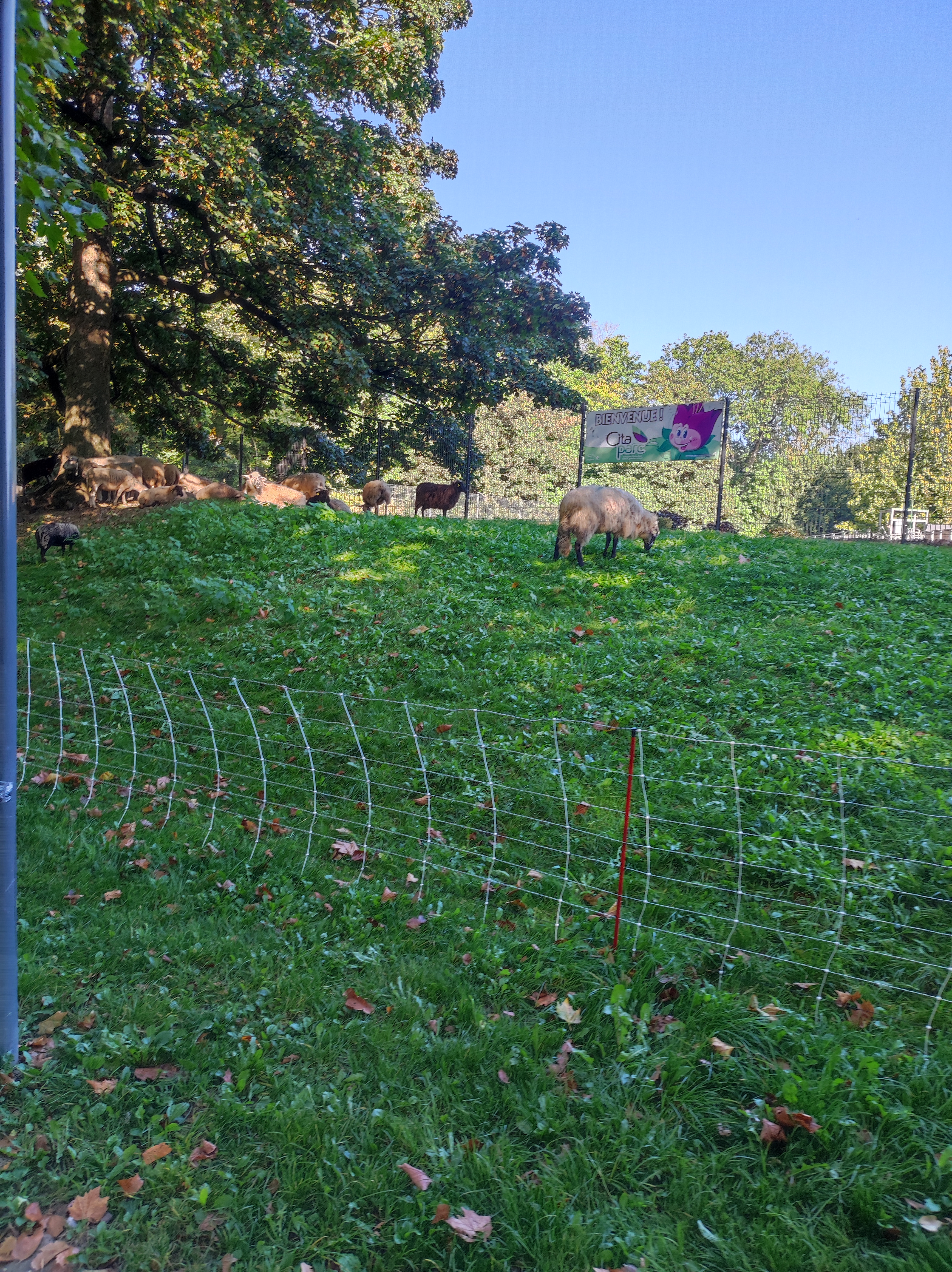 Photo n° 10 de l'avis de Barcelonesa974. fait le 18/01/2024 à 06:36