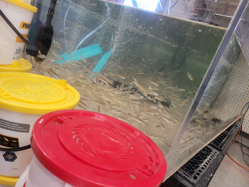 Convenience Store «K-V Bottle Shop», reviews and photos, 5200 Lake Isabella Blvd, Lake Isabella, CA 93240, USA