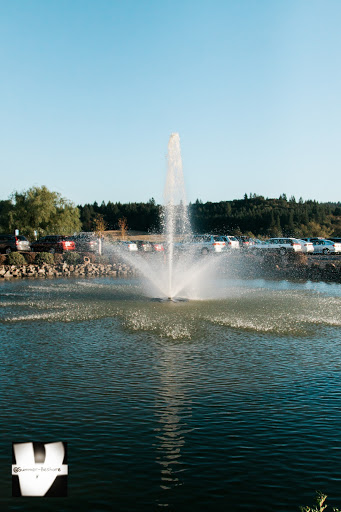 Winery «Zenith Vineyard», reviews and photos, 5657 Zena Rd NW, Salem, OR 97304, USA