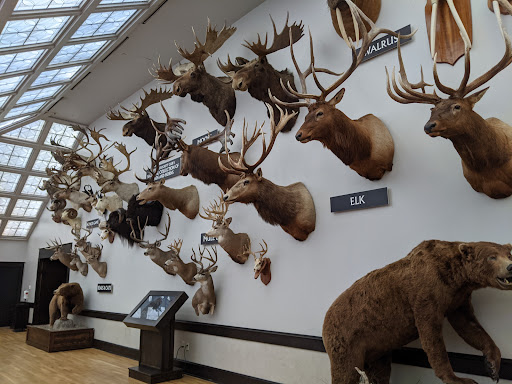 Sporting Goods Store «Bass Pro Shops», reviews and photos, 1935 S Campbell Ave, Springfield, MO 65807, USA