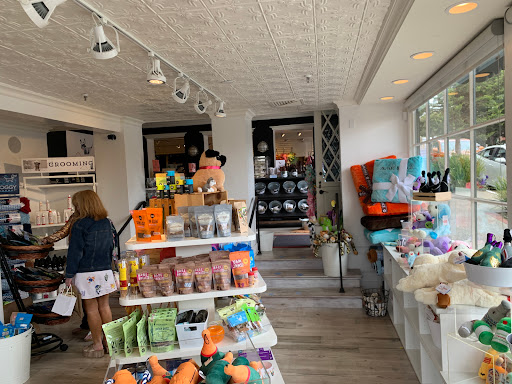 Pet Supply Store «Diggidy Dog», reviews and photos, Ocean Ave & Monte Verde St, Carmel-By-The-Sea, CA 93923, USA