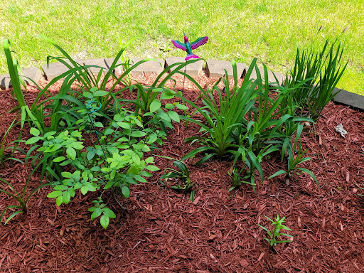 Hardware Store «Great Lakes Ace Hardware», reviews and photos, 5591 Sashabaw Rd, Village of Clarkston, MI 48346, USA