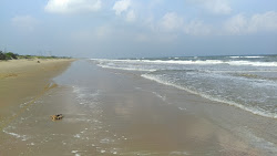 Krishnapatnam Beach'in fotoğrafı - rahatlamayı sevenler arasında popüler bir yer