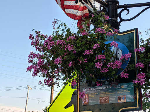 Wine Store «Great Neck Wines & Spirits», reviews and photos, 13 N Station Plaza, Great Neck, NY 11021, USA