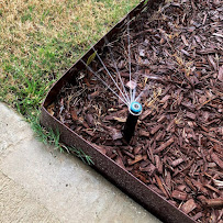 Stockdale Grass Installation - Photo 6 - Car repair in , Bakersfield