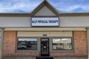 Ally Physical Therapy Plymouth image
