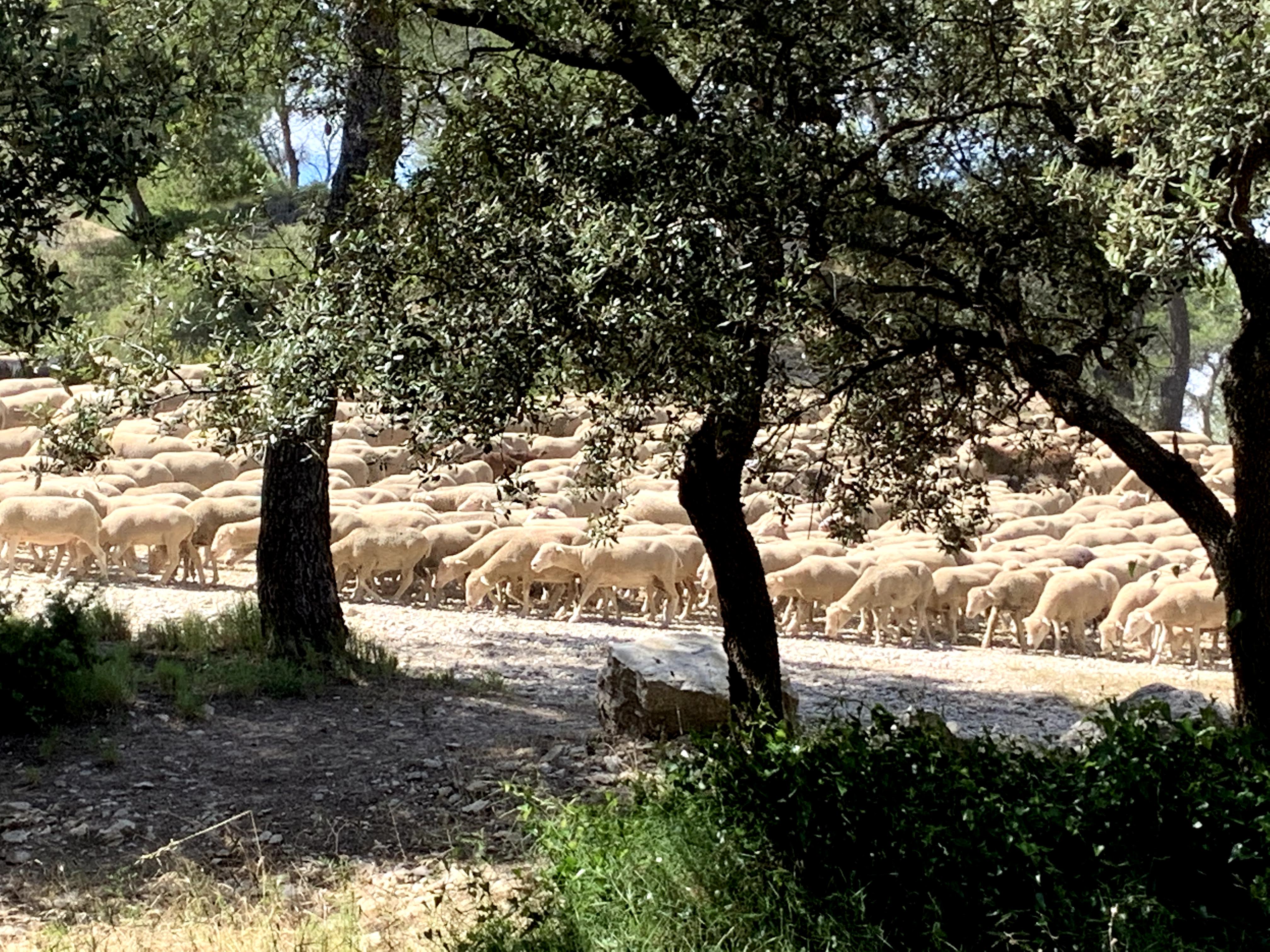 Photo n° 4 de l'avis de M... fait le 15/12/2019 à 08:21