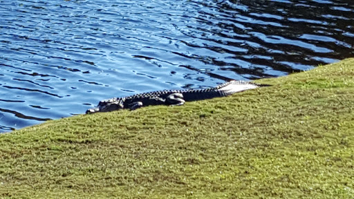 Golf Shop «De Bordieu Colony Golf Course», reviews and photos, 908 Bonny Neck Dr, Georgetown, SC 29440, USA