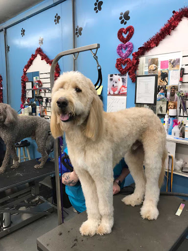 Pet Supply Store «Ridge Dog Shop», reviews and photos, 1505 N Parham Rd, Richmond, VA 23229, USA