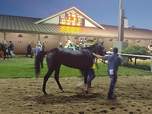 Indiana Grand Racing & Casino - photo 16