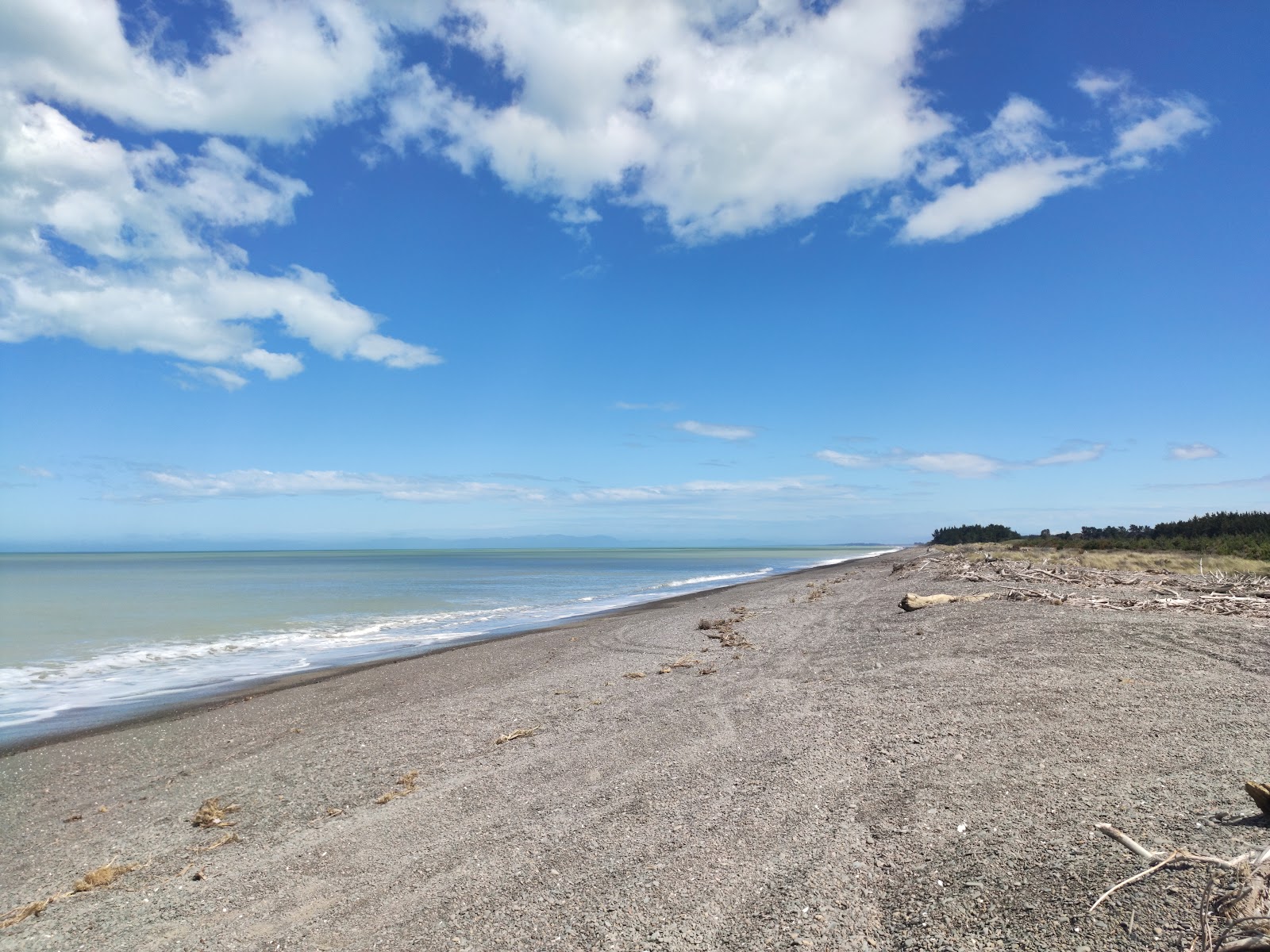 Zdjęcie Leithfield Beach z powierzchnią czarny piasek i kamyczki