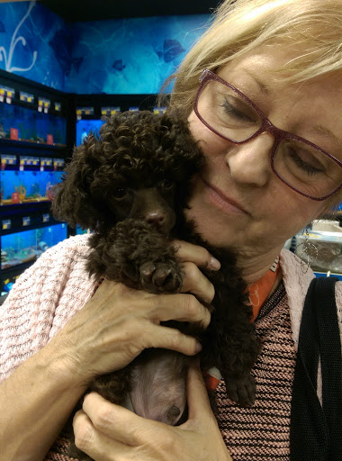 Pet Supply Store «PetSmart», reviews and photos, 1391 S Commons Dr, Myrtle Beach, SC 29588, USA