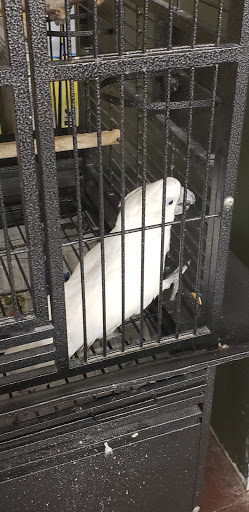 Pet Store «PV Pets», reviews and photos, 233 S Broadway, Pennsville, NJ 08070, USA