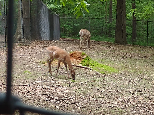 Tourist Information Center «Woodlands Nature Station», reviews and photos, 3146 Silver Trail Rd, Cadiz, KY 42211, USA