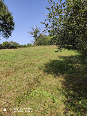 Tumulus à Lannecaube à Lannecaube