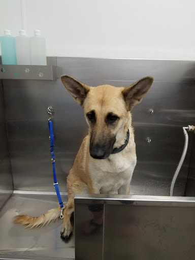 Pet Food Center, 2243 Lowes Dr E, Clarksville, TN 37043, USA, 