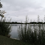 Photo n° 8 de l'avis de mark.m fait le 17/09/2019 à 06:10 pour Lac d'Armbouts-Cappel à Armbouts-Cappel
