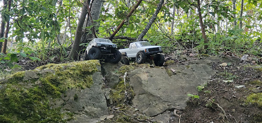 Park «Duwamish Hill Preserve», reviews and photos, 3800 S 115th St, Tukwila, WA 98168, USA