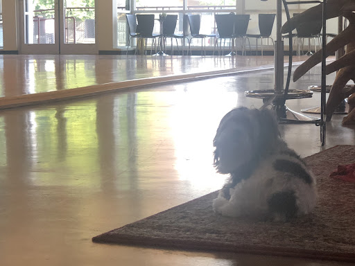 Dance School «Gocha Shorena Center of Ballroom Dance», reviews and photos, 2507 Knight St, Dallas, TX 75219, USA