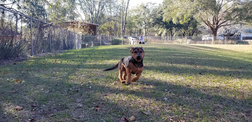 Park «Lutz Dog Park», reviews and photos, 122 1st Ave SW, Lutz, FL 33548, USA