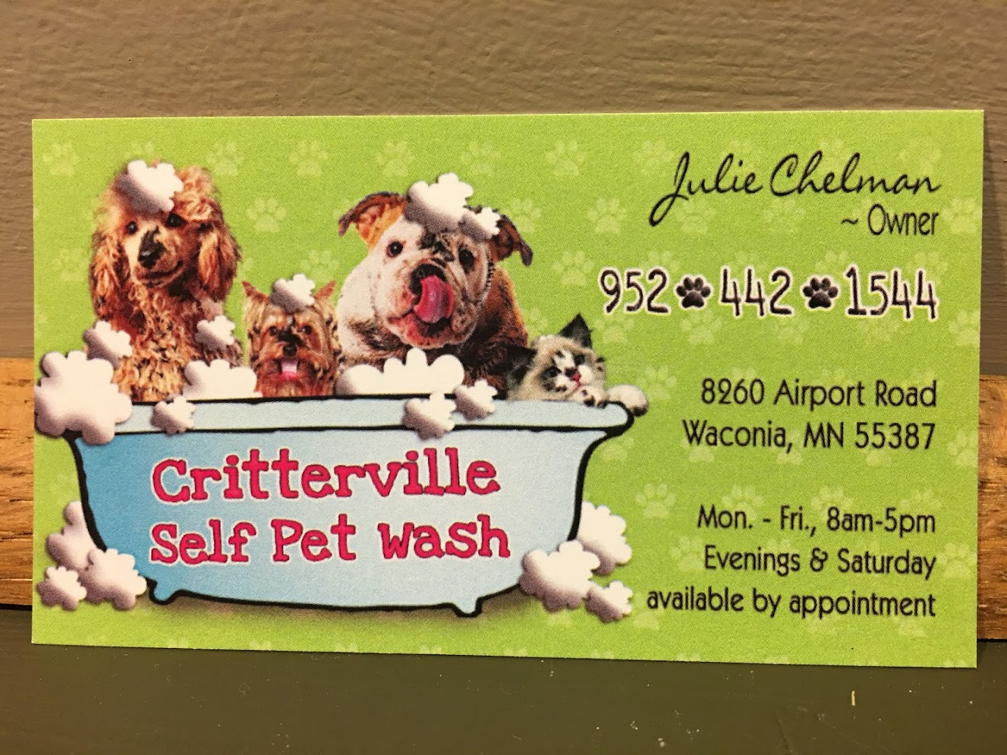 Critterville Self Pet Wash