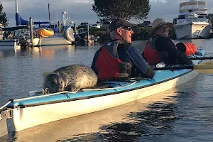 Anacortes Kayak Tours image