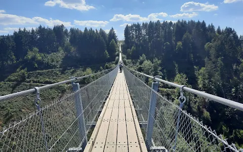 Geierlay Suspension Bridge image